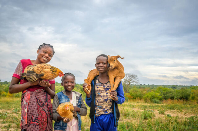 Two girls hold chickens in front of them, while a boy holds a goat across his shoulders.