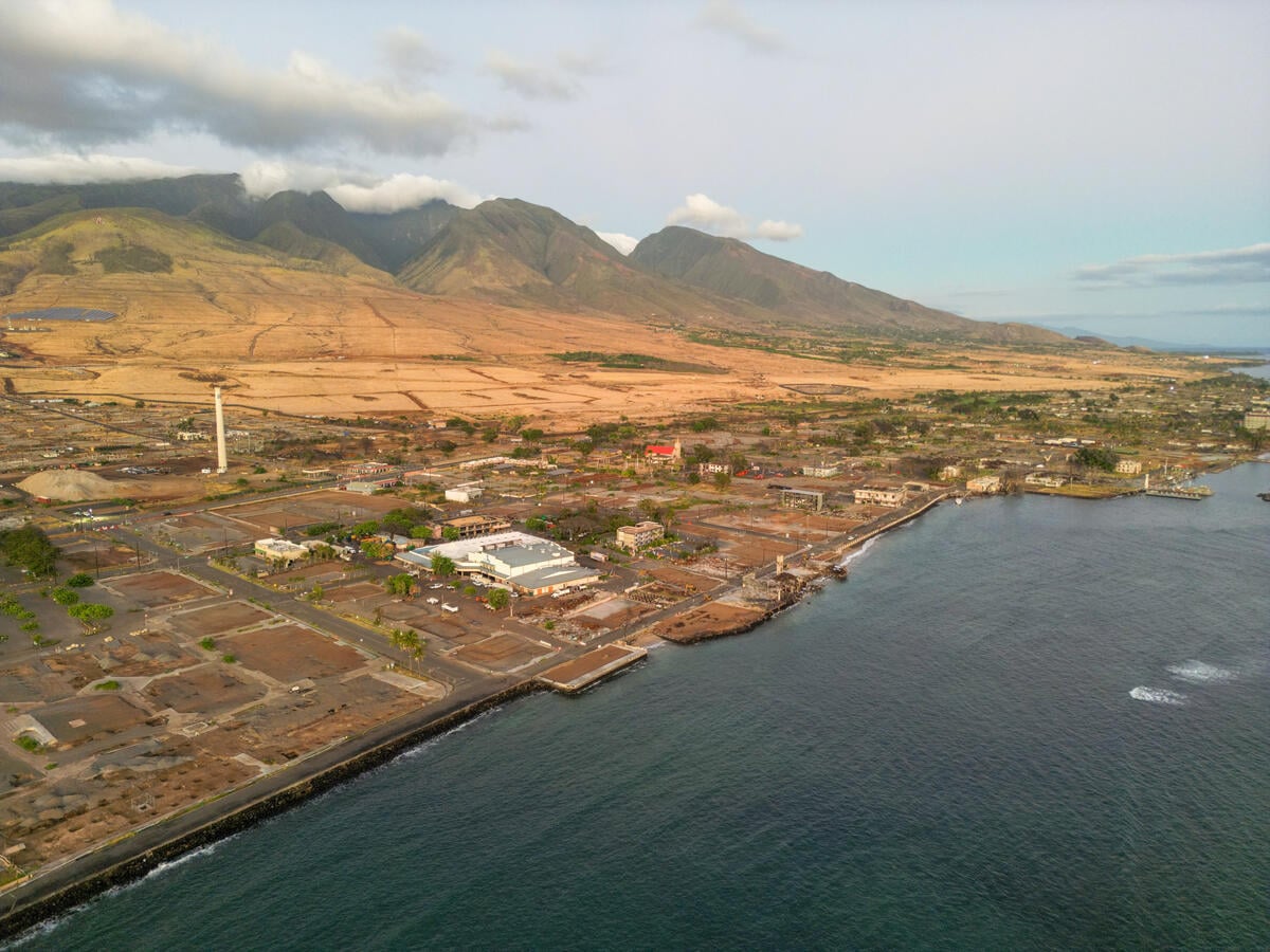 Aerial view of wildfire-scarred land in Maui, with burned areas extending from the ocean to the mountains.