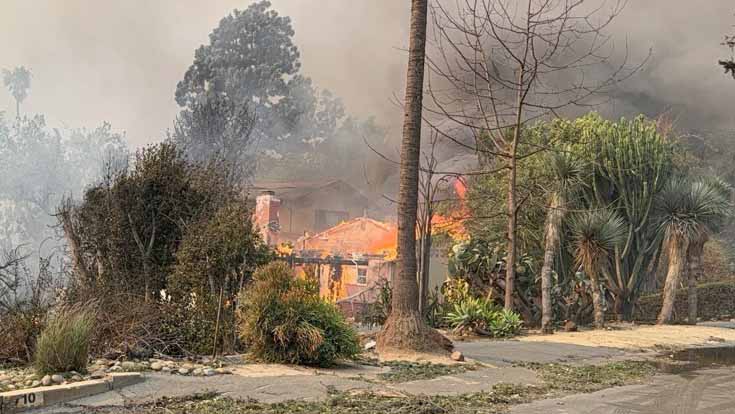 A home is consumed in flames while smoke surrounds it. There are trees in the smoke as well.