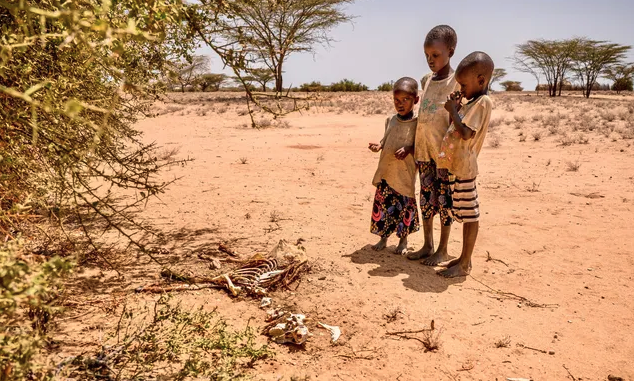 Screenshot 2025-02-25 at 9.34.02 AM Children view the remains of dead animals in Nakorio village, Turkana, where World Vision is doing food distributions. (World Vision)