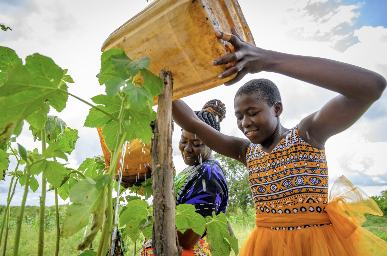 A teenager and a woman pour water from jerrycans onto tall, leafy vegetables.