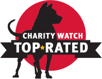 charitywatch logo