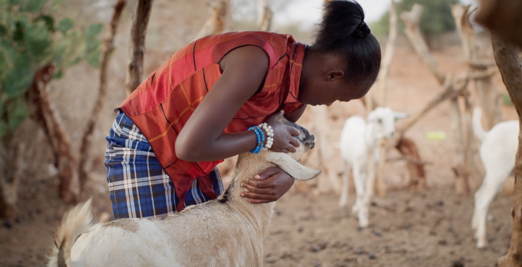 girl petting goat