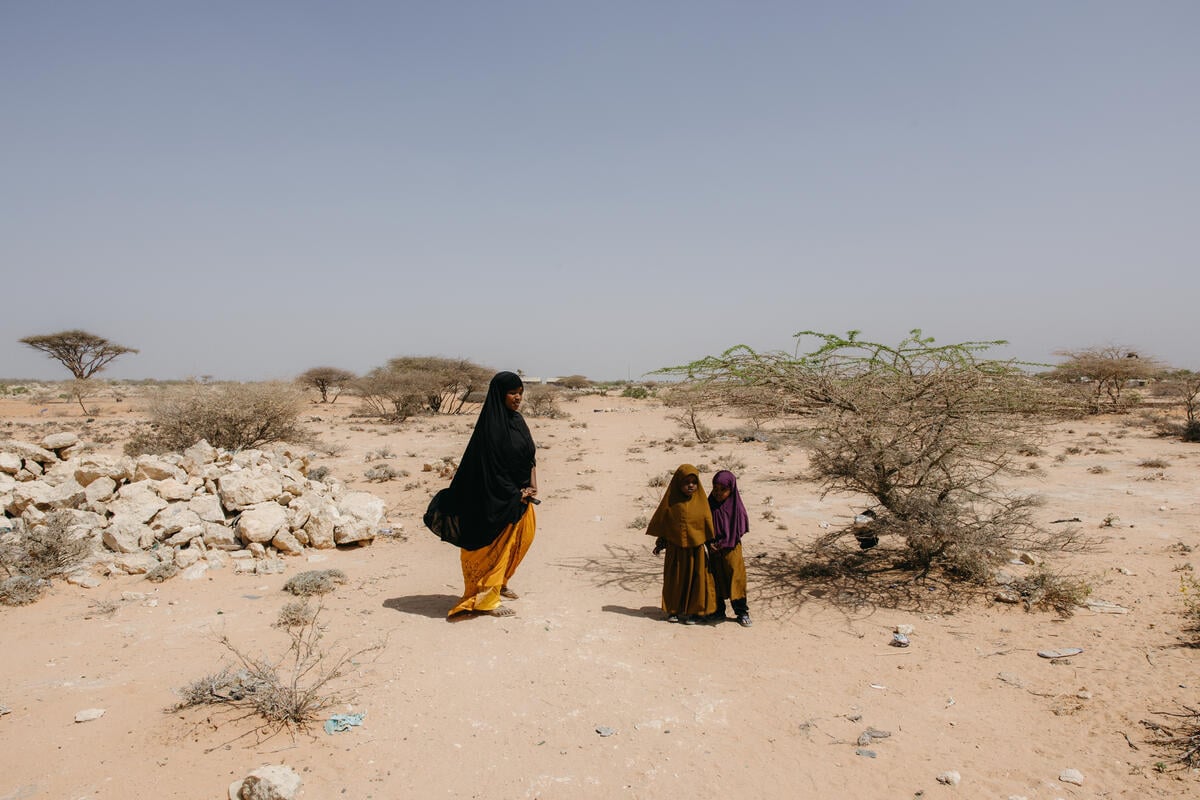 A woman and two children stand in an arid, dry landscape with brittle trees and twisted branches near boulder piles.