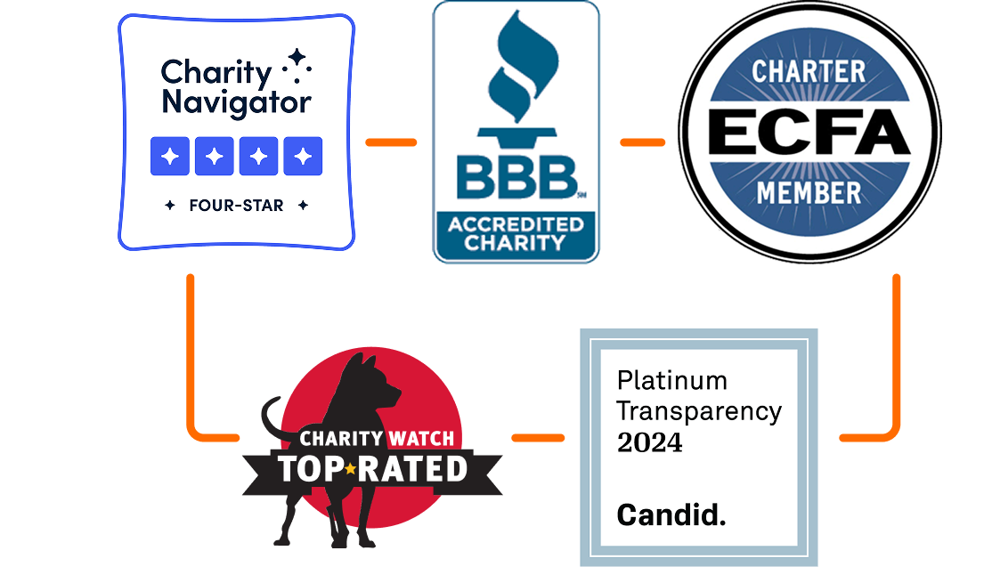 accountability logos