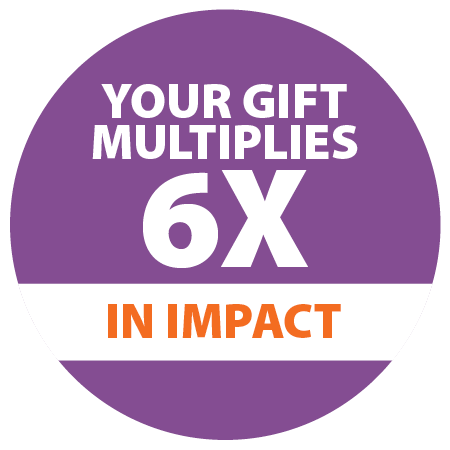 multiply 6 times