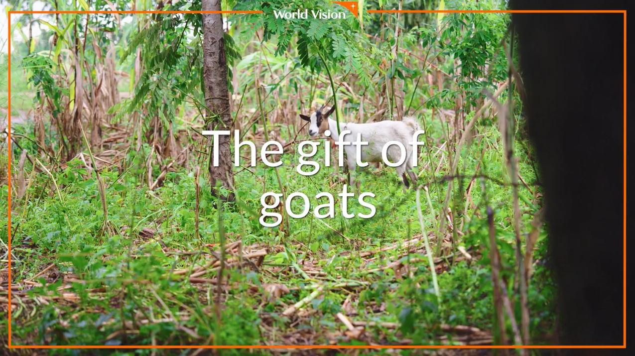 gift of goats