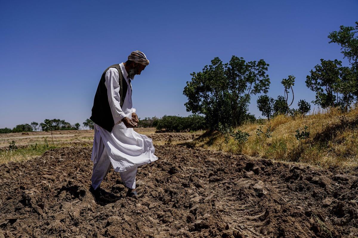 A bearded man in traditional Afghan dress stands and looks down at a dry, parched field against a bright blue sky.