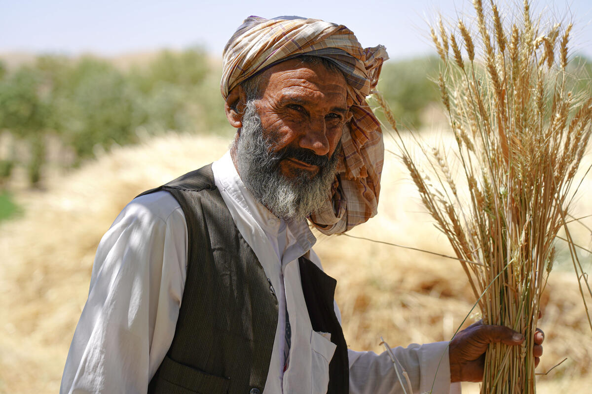 A bearded man wears a turban and holds a small bundle of dry grain stalks.