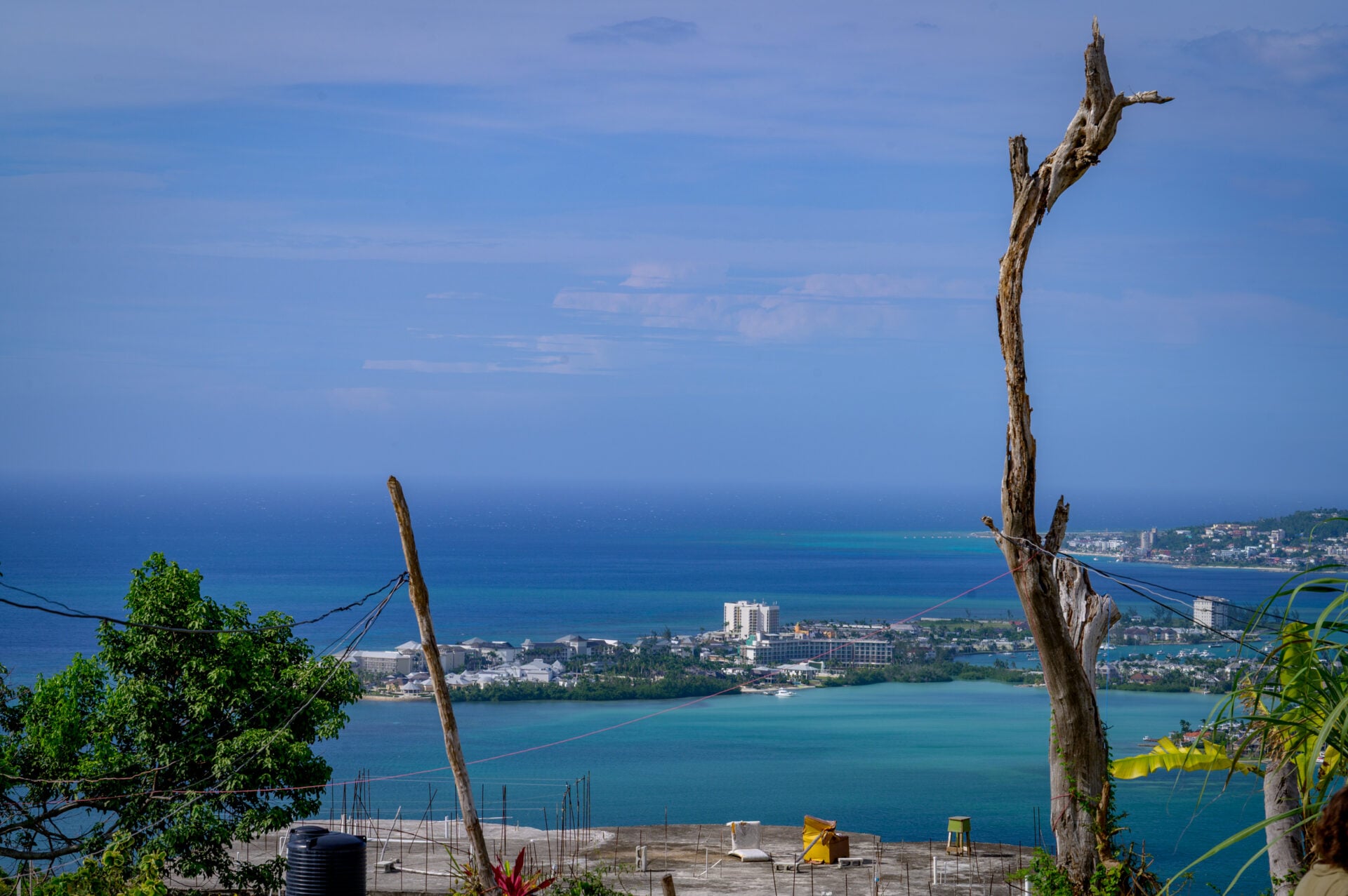 View of calm waters and buildings in the distance from a high point overlooking the ocean bay, with a dead tree in the foreground.