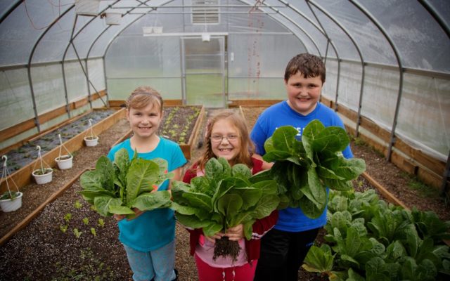 As participants in World Vision's KidREACH program, these kids have learned to cultivate fruits and vegetables, which helps them improve their diet and even provides modest income for the program through the sale of produce.