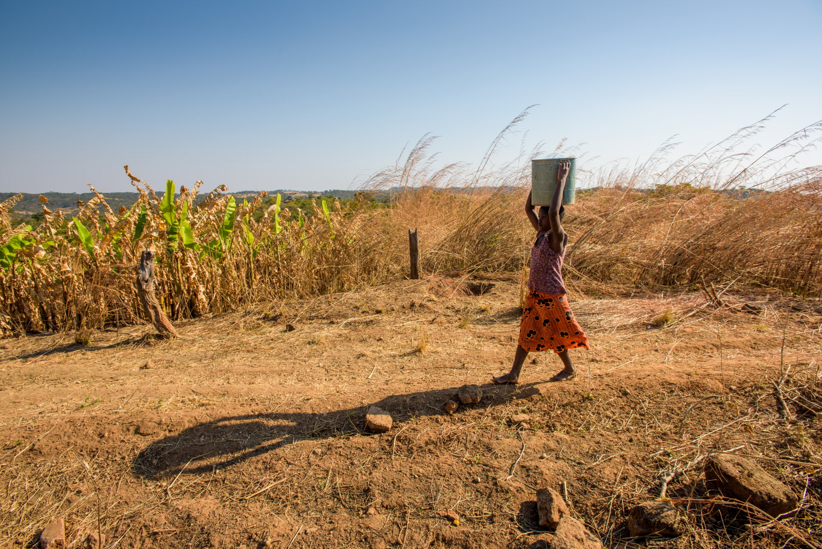 Though she fears being abducted and killed, 11-year-old Nivesh fetches water from a stream in southern Zambia three times a day to keep her family alive.