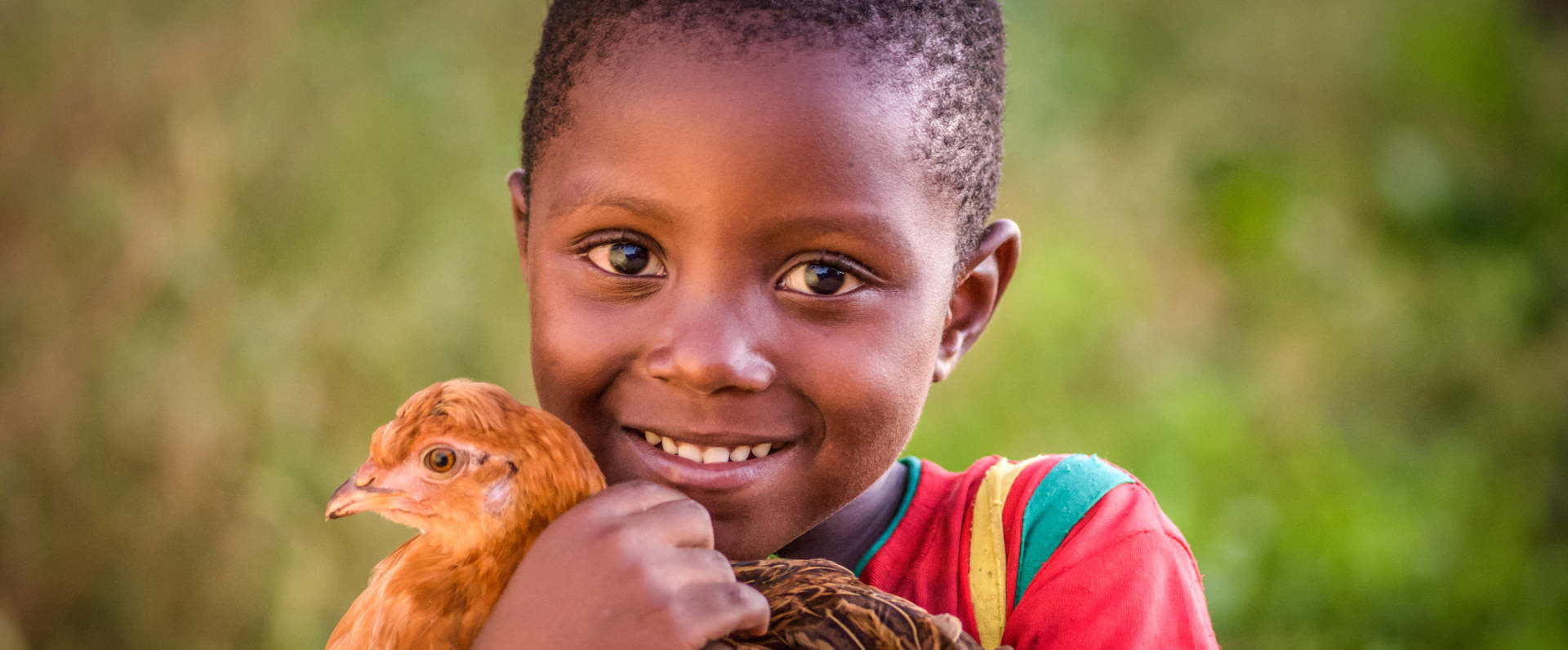 Chickens and goats from World Vision's Gift Catalog and child sponsorship set a family in Zambia on a path to prosperity.