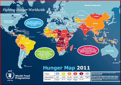Examining the Global Food Crisis (PDF, 2011)