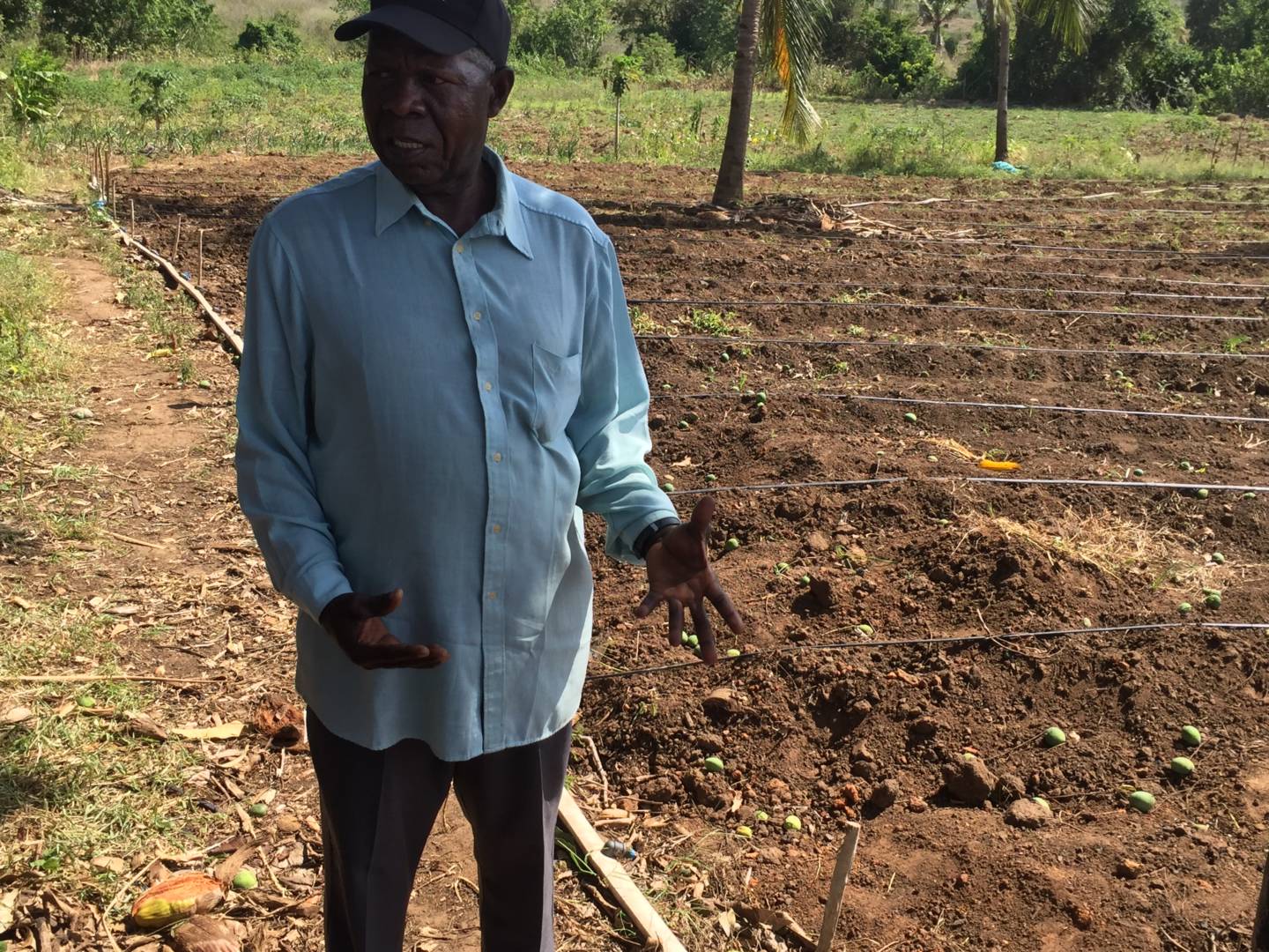 A man stands next to a plot of land that recently has been cultivated.