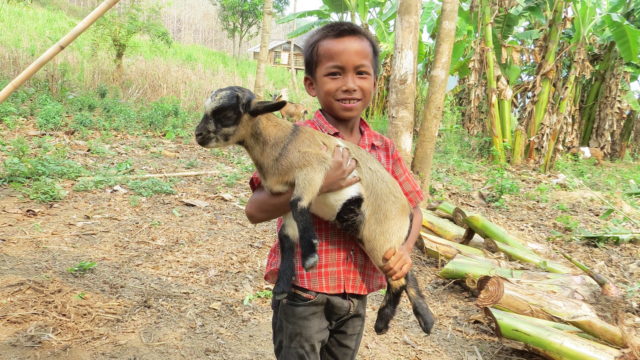 boy with goat