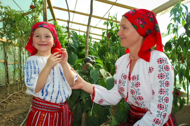 Vegetables sprout seeds of hope for a brighter future