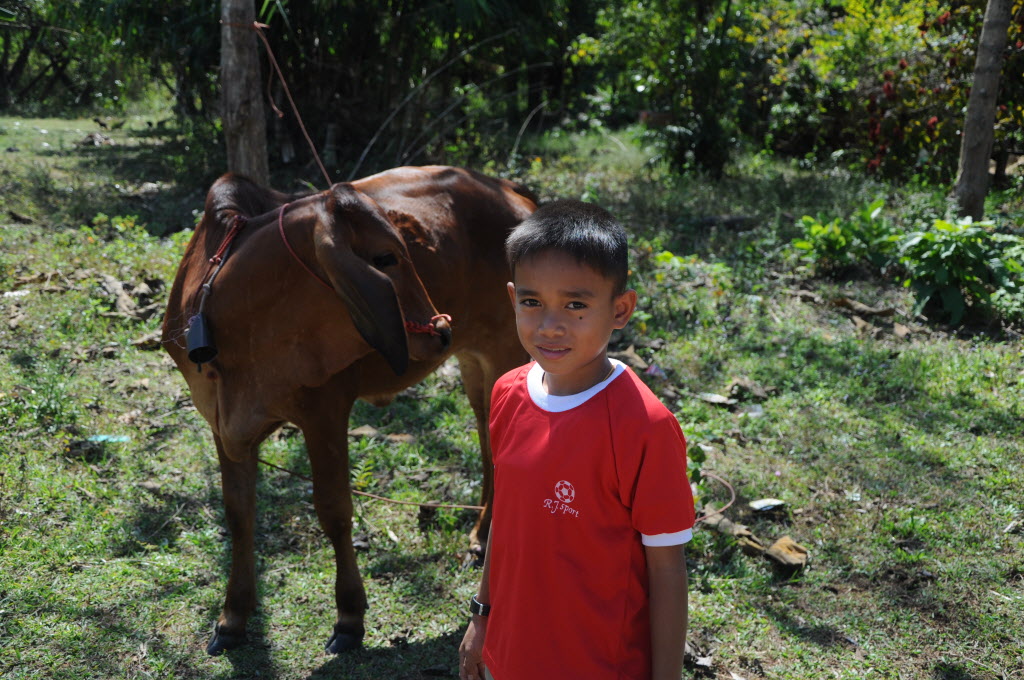 Sponsored child in Thailand stands with the cow his family got from the World Vision Gift Catalog
