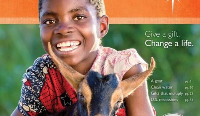 World Vision's holiday catalog offers hundreds of gifts that make an impact and a tax deduction.