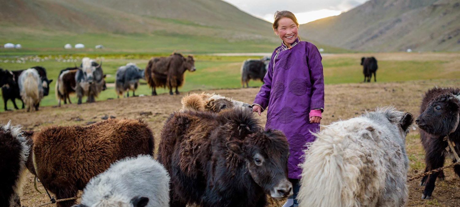 12-year-old Mongolian girl with sheep