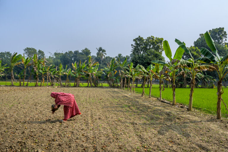 Sustaining escapes out of ultra-poverty: Layered interventions in coastal Bangladesh