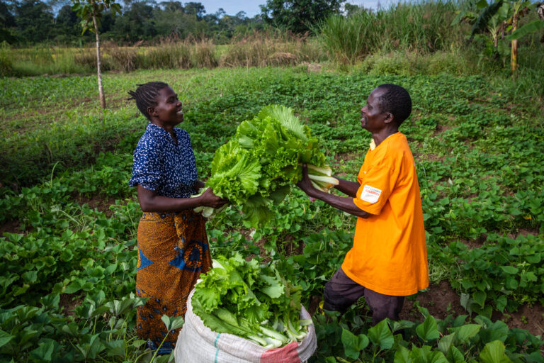 Empowered Worldview technical brief: Assessing the role of behaviour-change programming on mindsets and livelihoods in Zambia